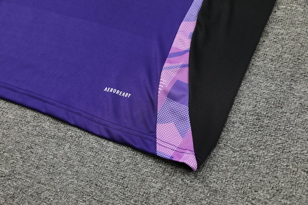 Germany 2024/25 Training Shirt - Purple