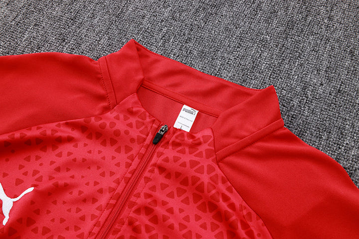 Milan 2023/24 Training Jacket - Red