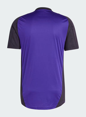 Germany 2024/25 Training Shirt - Purple