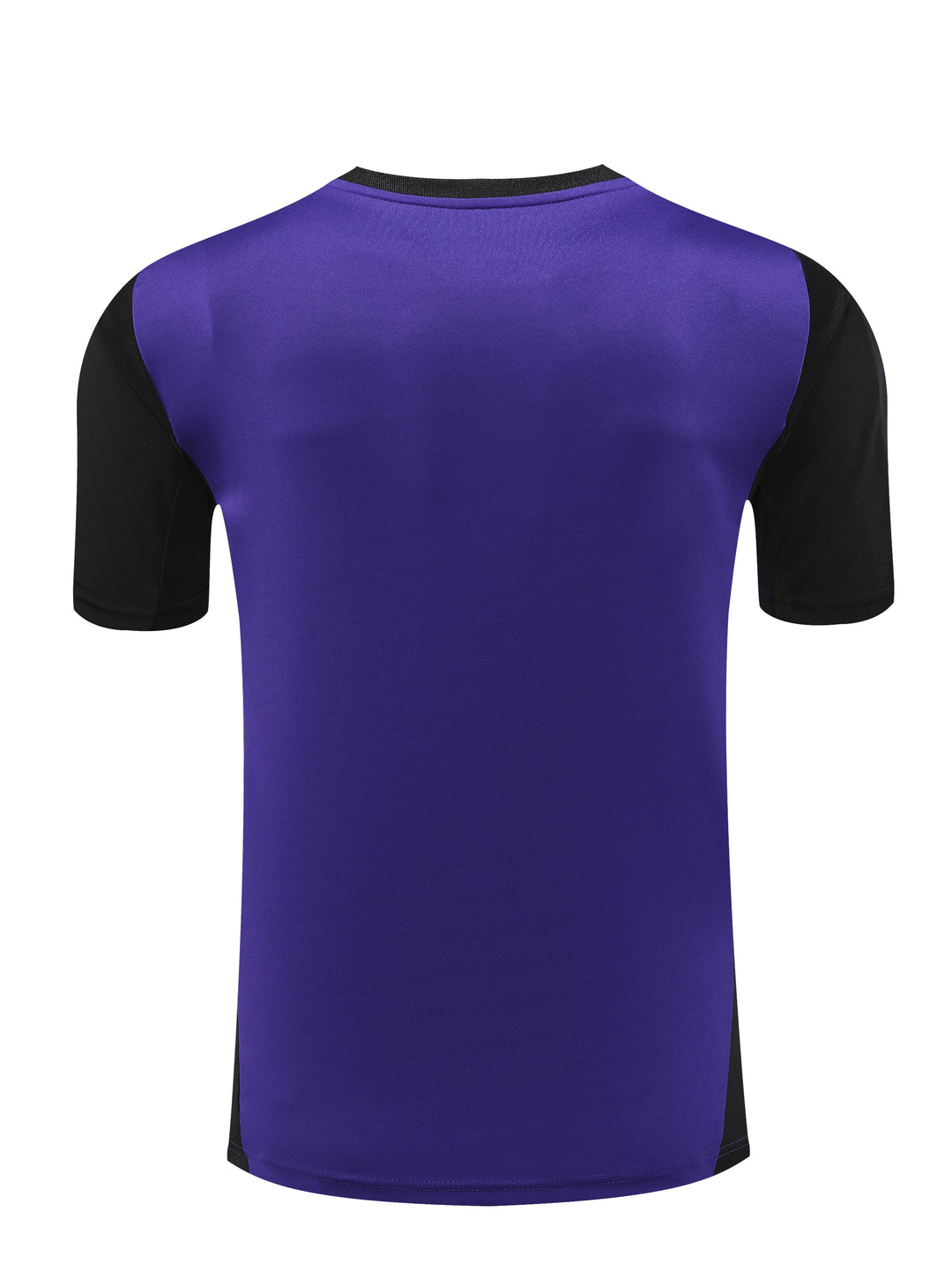 Germany 2024/25 Training Shirt - Purple