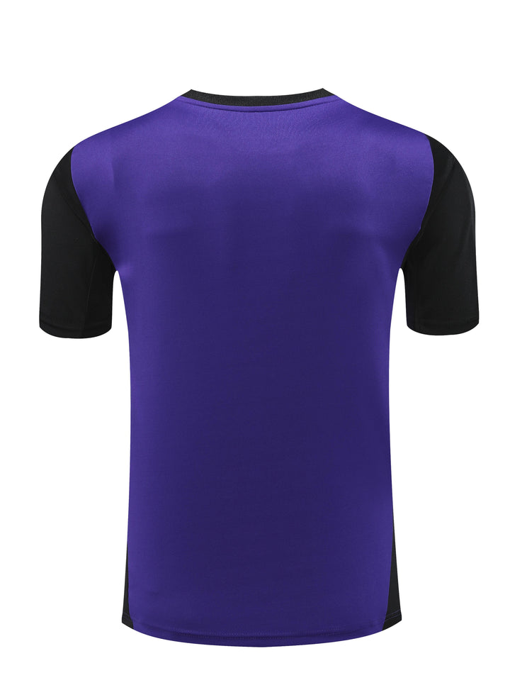 Germany 2024/25 Training Shirt - Purple