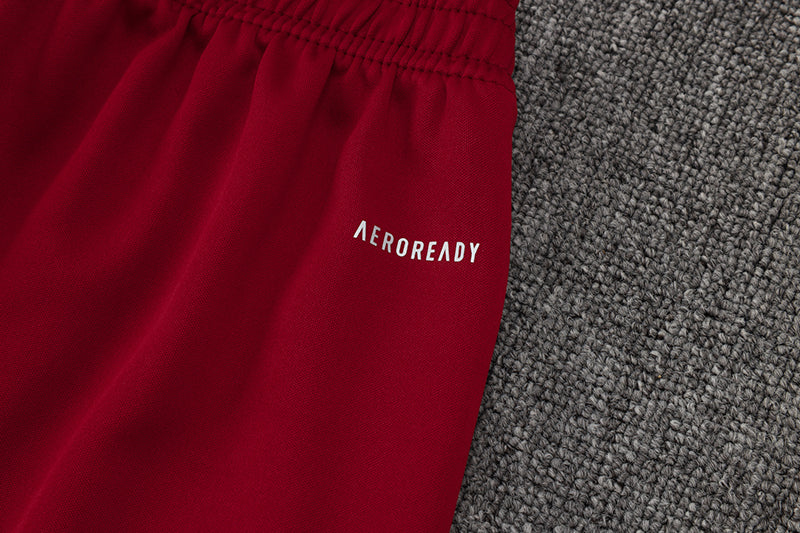 Bayern Munich 2024/25 Training Pants - Burgundy