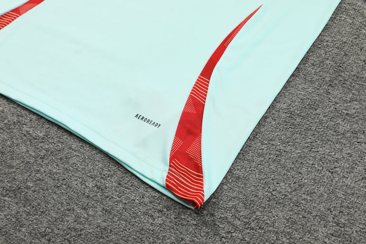Spain 2024/25 Training Shirt - Turquoise