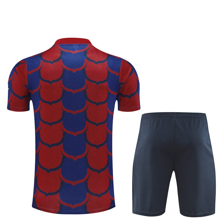 Barcelona Training Kit 24/25 - Red/Blue