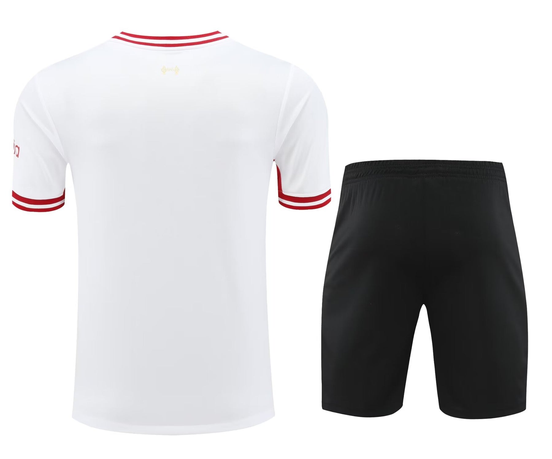 Liverpool Training Kit 24/25 - White