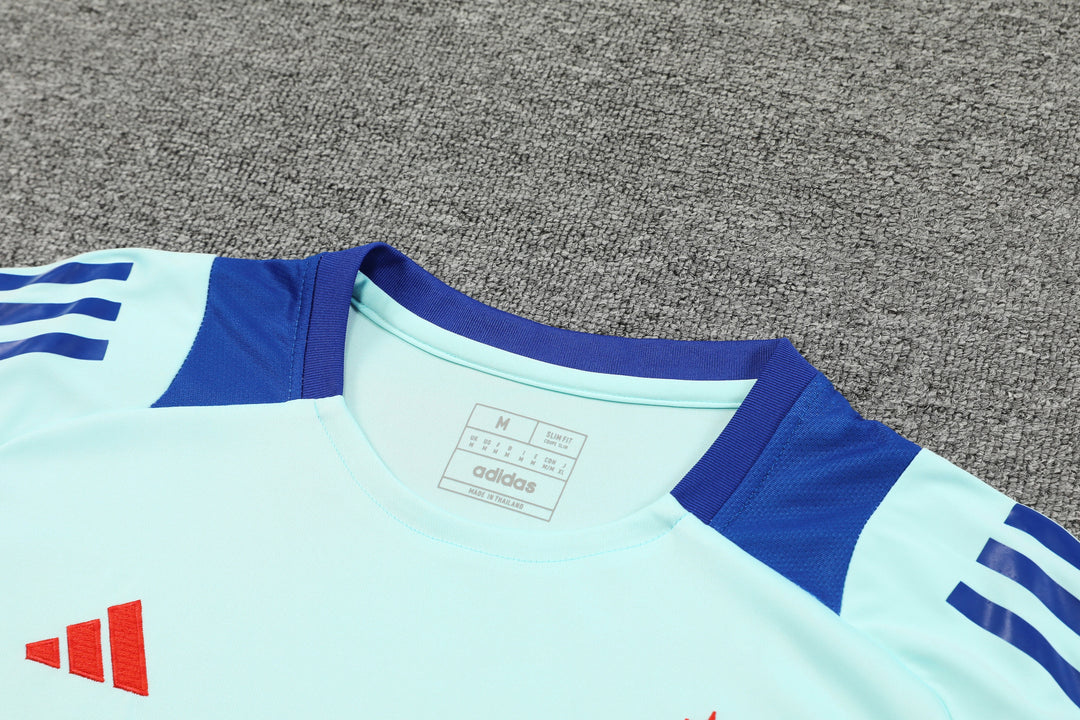 Spain 2024/25 Training Shirt - Turquoise