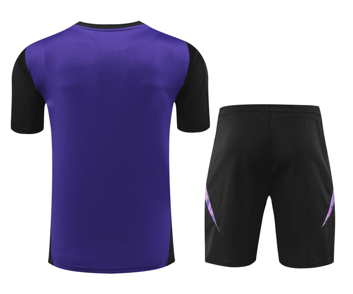 Germany 2024/25 Training Kit - Purple