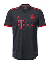 Bayern Munich 2022/23 Third Shirt