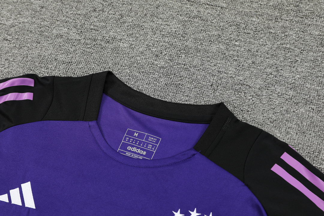 Germany 2024/25 Training Shirt - Purple