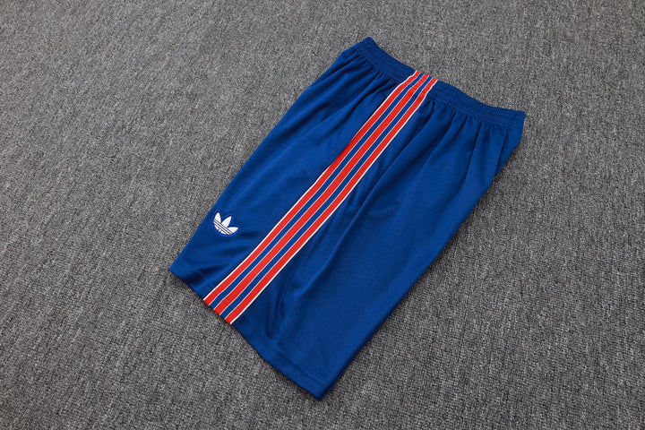 Arsenal Training Short - Blue/Wine